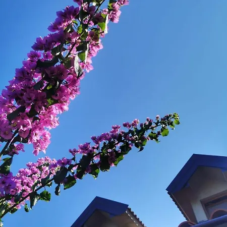 Holiday Galic-stylish Getaway